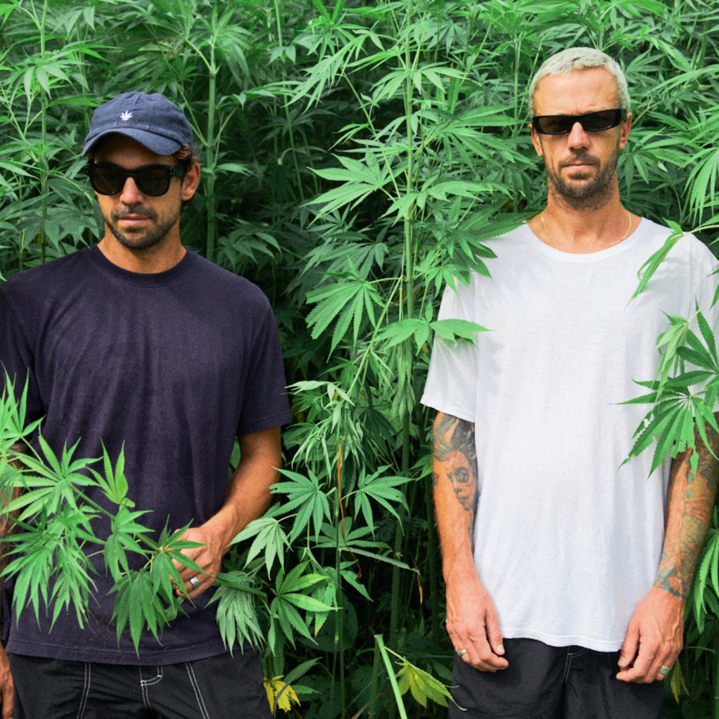 Ep. 052 — High Fashion Hemp