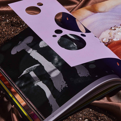 Spores: Magical Mushroom Photography Book main image 1
