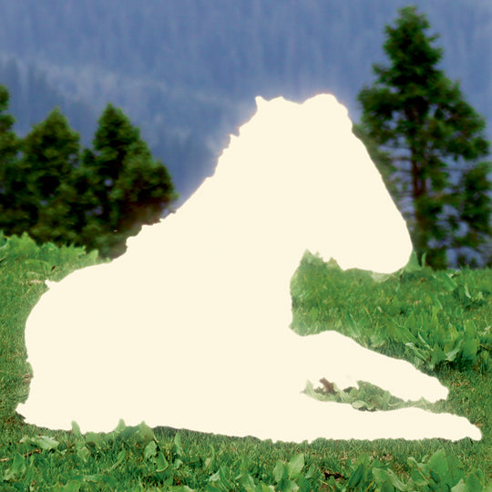 Calling All Horse Girls Magazine, Vol 8