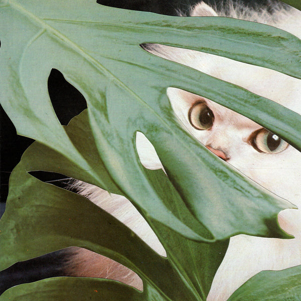 Catnip Magazine Volume 3 | Broccoli