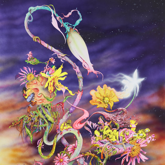 Daniel Herwitt: Sunflower Form Art Book