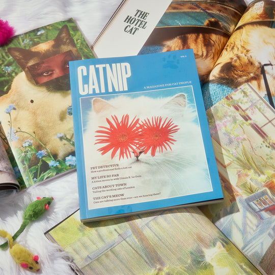 Catnip Magazine: Vol 2 | Broccoli