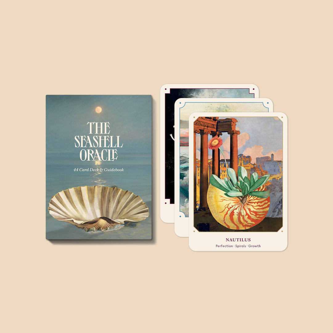 The Seashell Oracle: 44 Card Deck & Guidebook | Broccoli