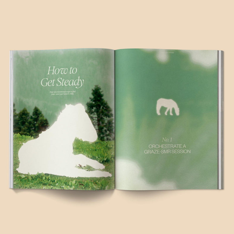 Calling All Horse Girls Magazine, Vol 8