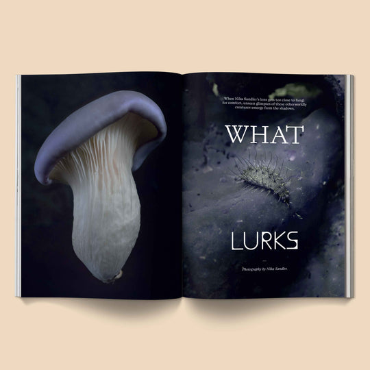 Mushroom People Magazine: Volume 2