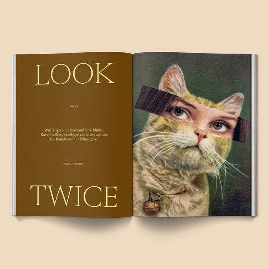 Catnip Magazine: Vol 2 | Broccoli