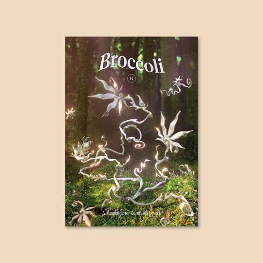 Broccoli Issue 14