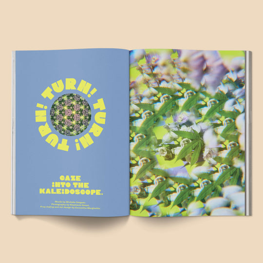 Broccoli Issue 14