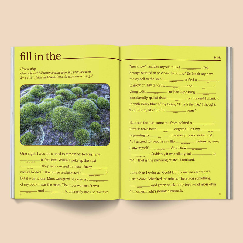 Broccoli Issue 14