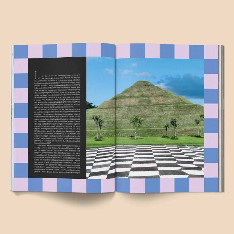 Broccoli Issue 16