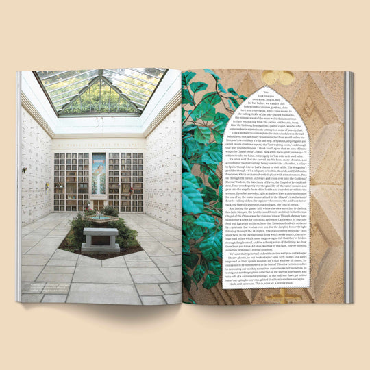 Broccoli Issue 05