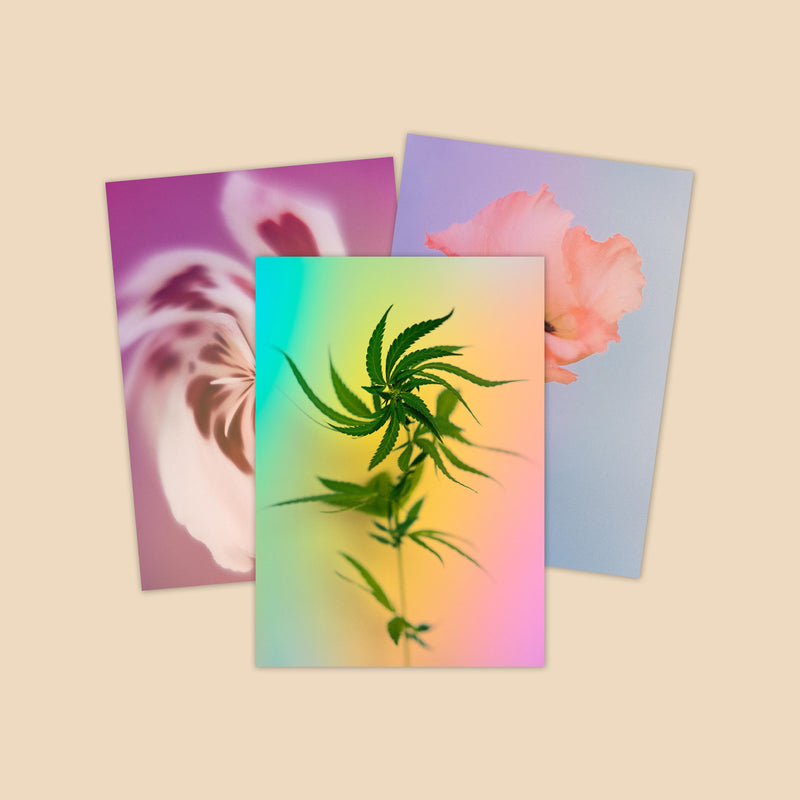 Psychedelic Fleurs Postcard Print Set